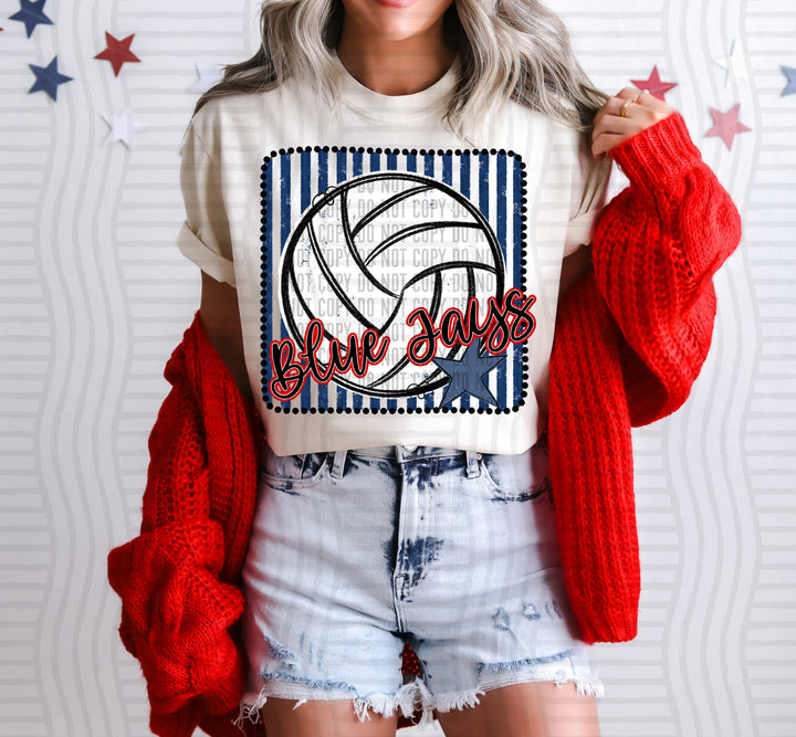 Volleyball RWB Framed DTF Print