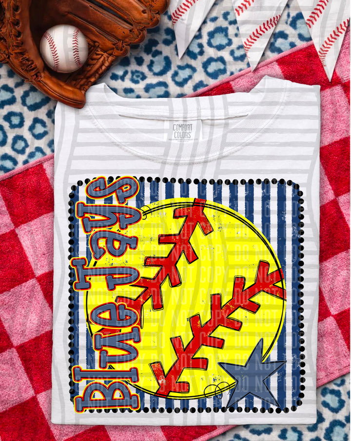 Softball RWB Framed DTF Print