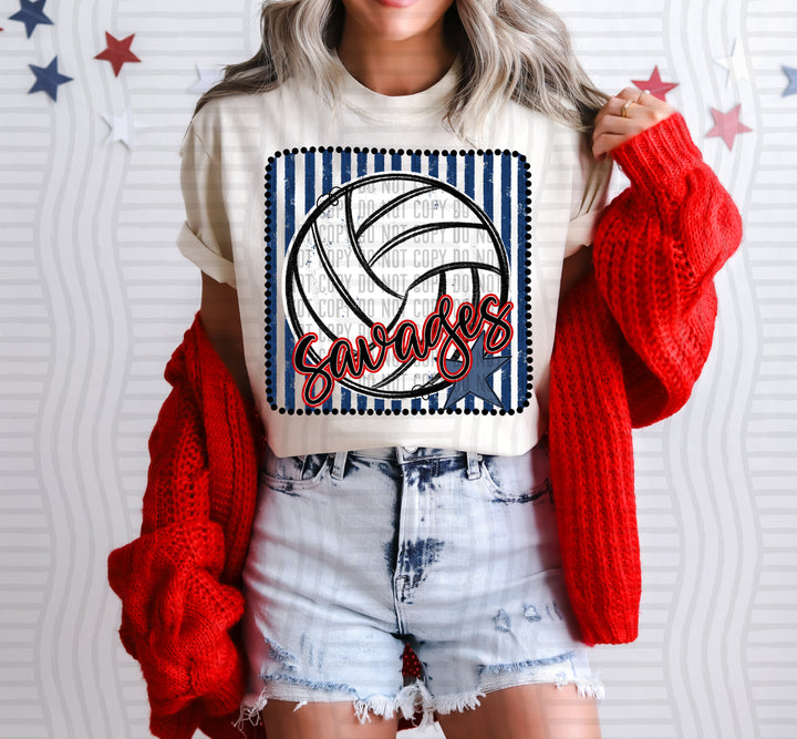 Volleyball RWB Framed DTF Print