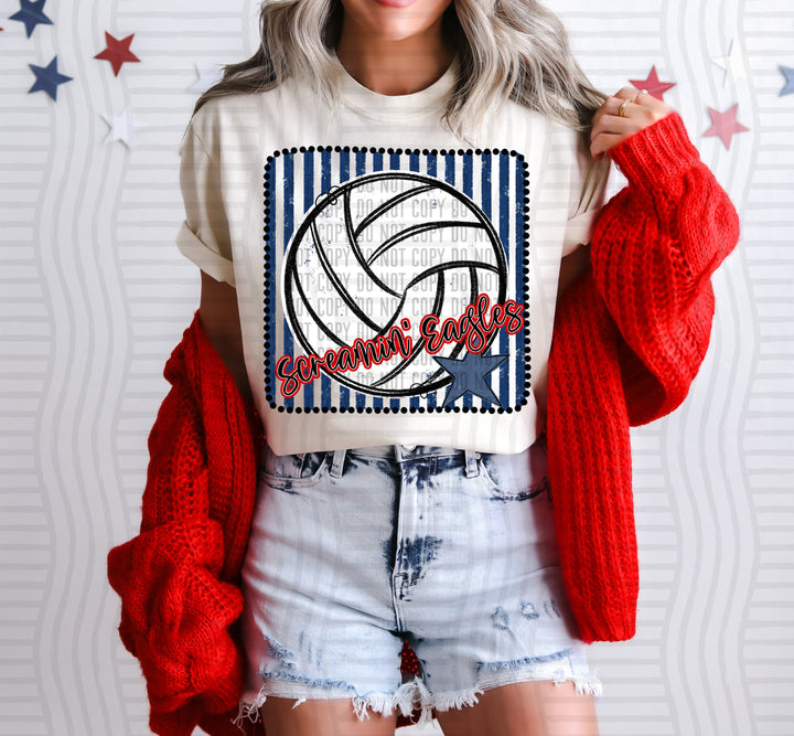 Volleyball RWB Framed DTF Print