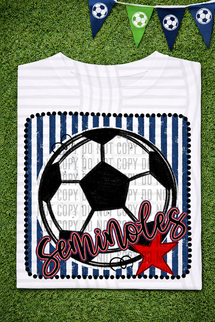 Soccer RWB Framed DTF Print
