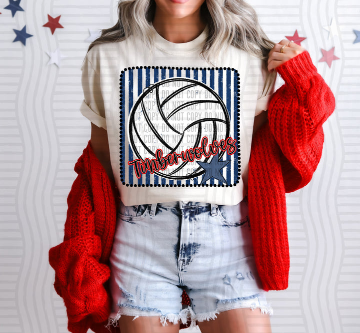 Volleyball RWB Framed DTF Print