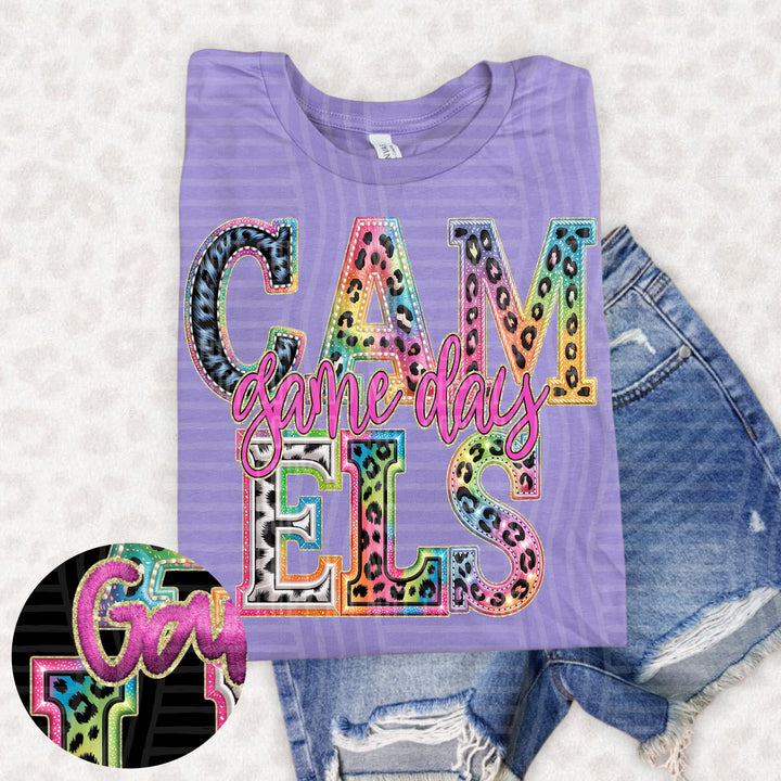 Rainbow Mitchymatchy DTF Print