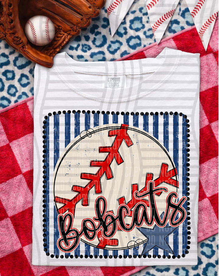 Baseball RWB Framed Script DTF Print