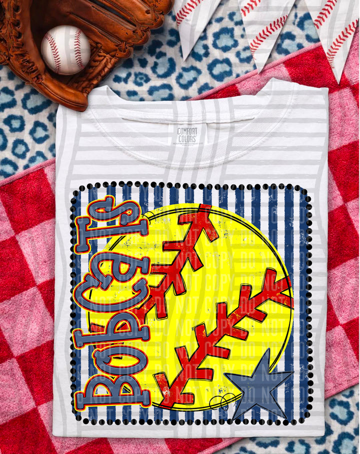 Softball RWB Framed DTF Print