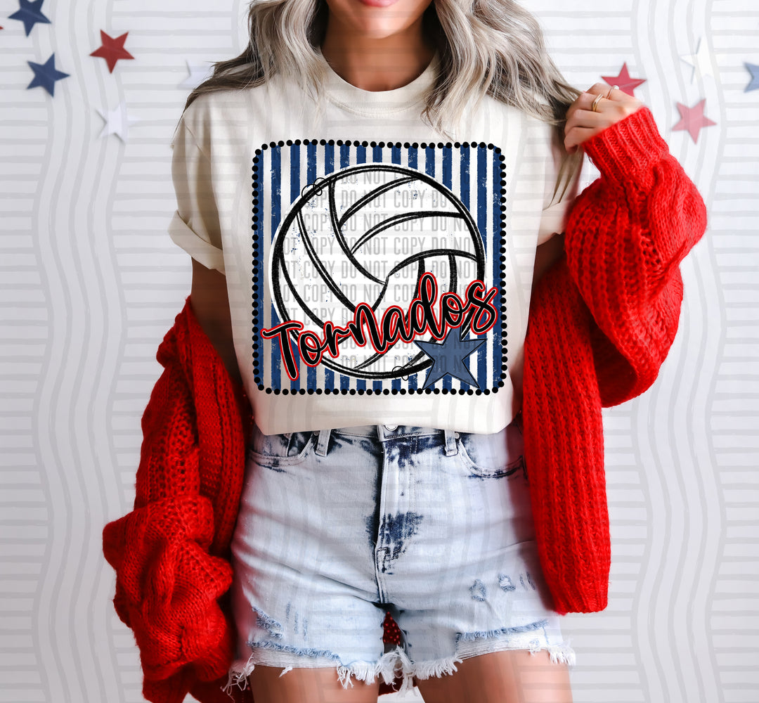 Volleyball RWB Framed DTF Print