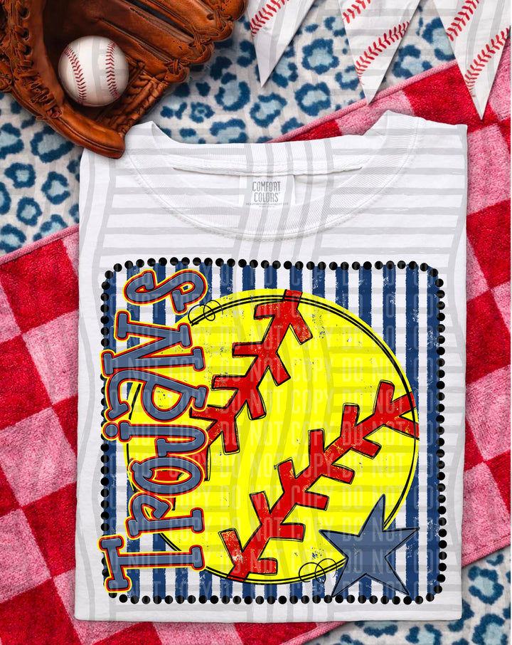 Softball RWB Framed DTF Print