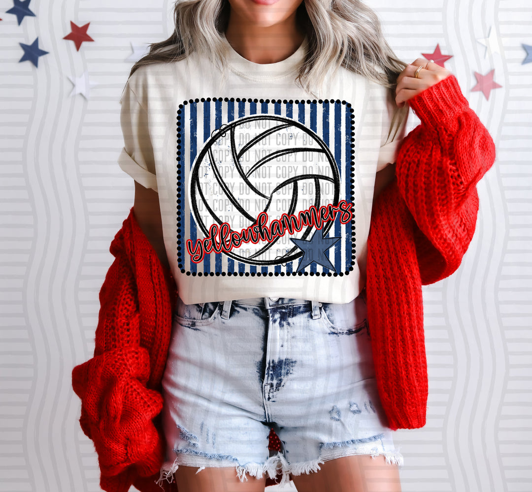 Volleyball RWB Framed DTF Print