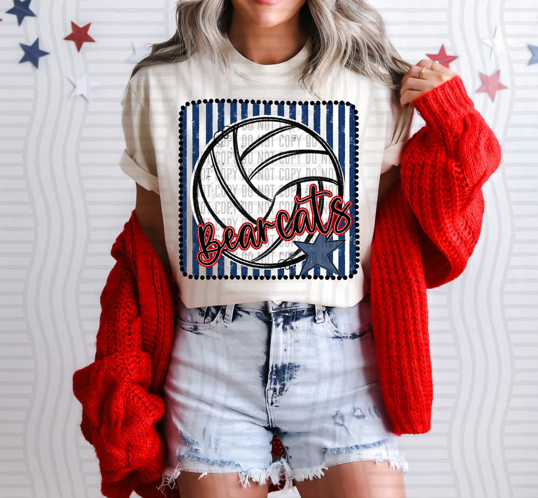 Volleyball RWB Framed DTF Print