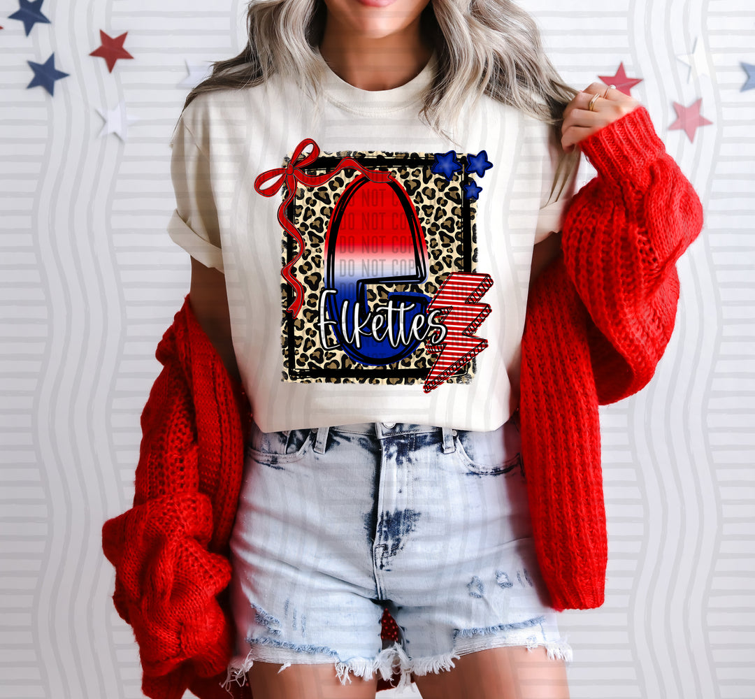 Star Spangled Sass Mascots DTF Print