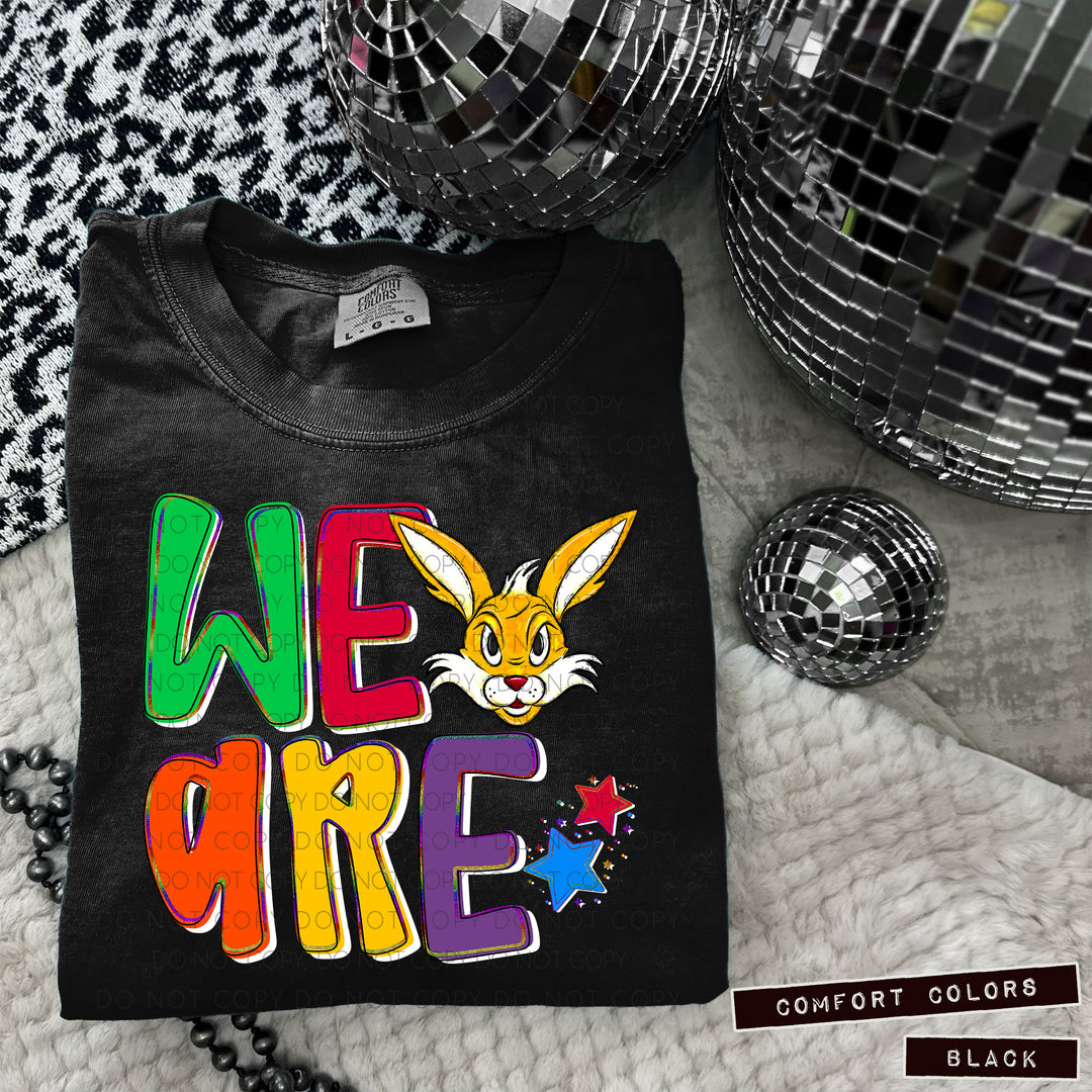 We Are Mascot Heads  DTF Print