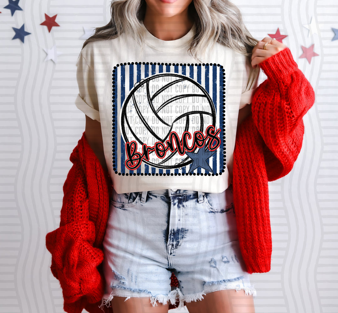 Volleyball RWB Framed DTF Print