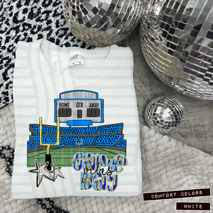 Game Day Stadiums DTF Print