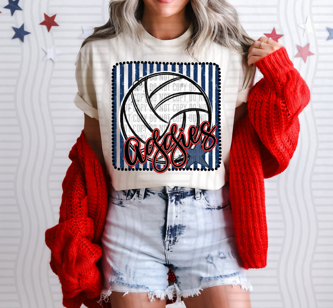Volleyball RWB Framed DTF Print
