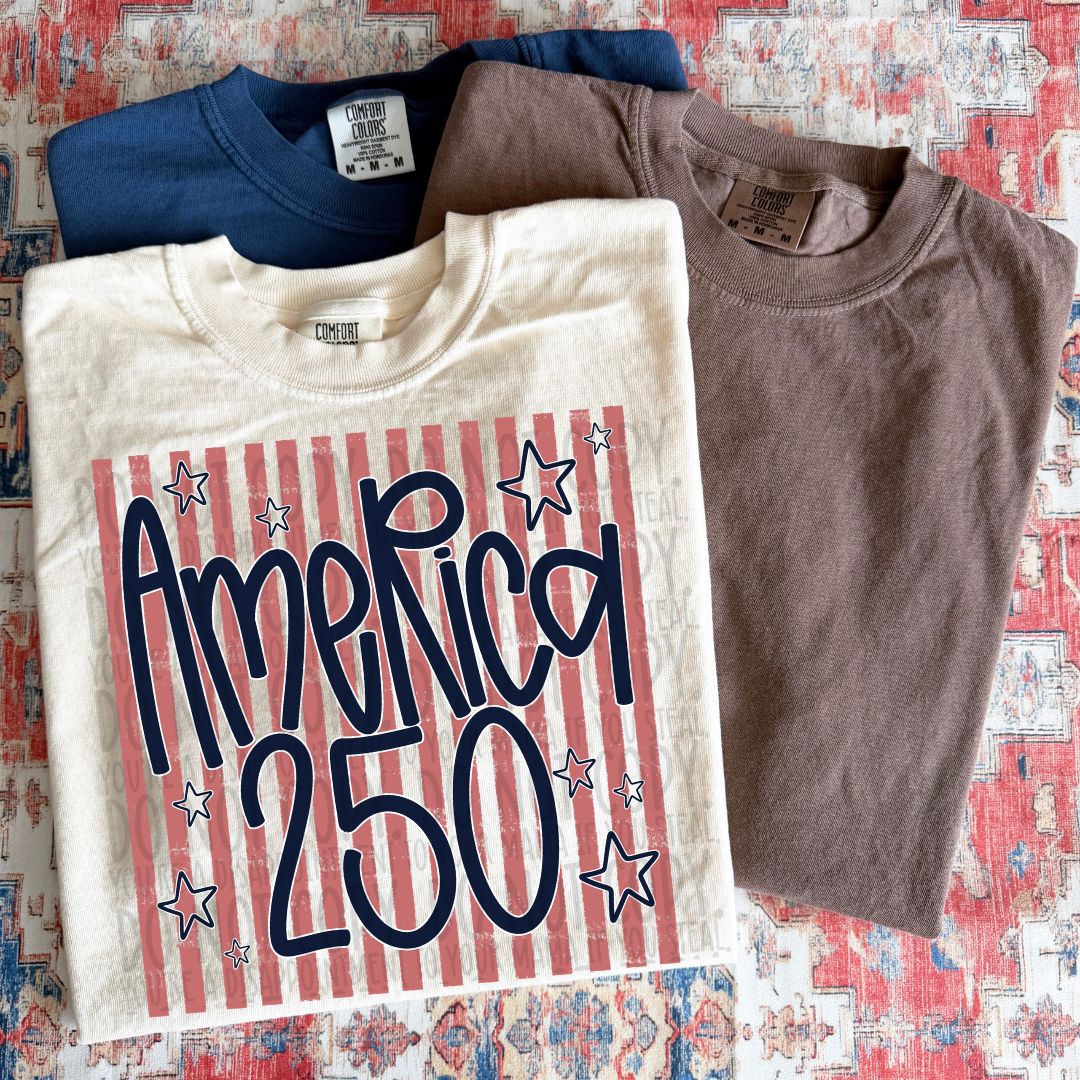 America 250 Pink Navy DTF Print