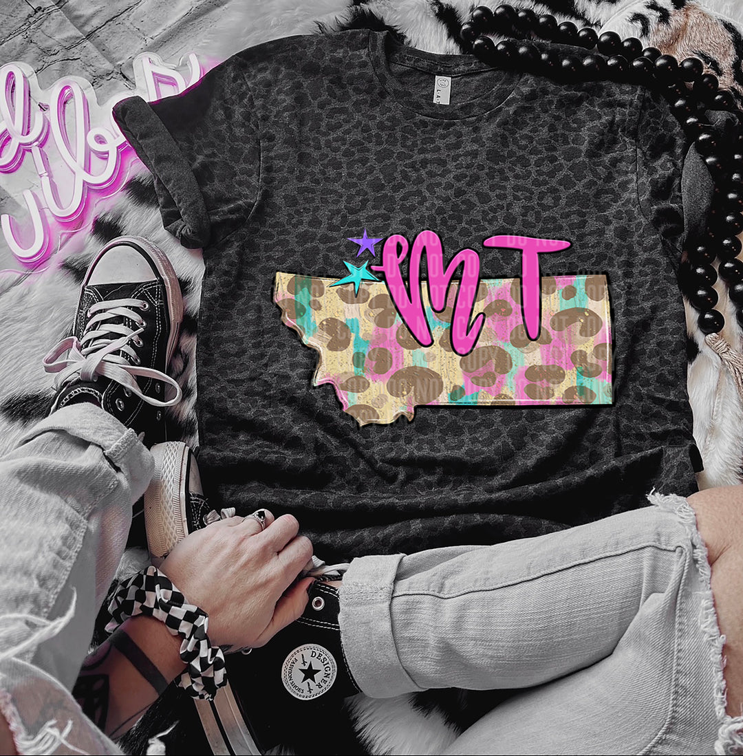 Preppy Bright States DTF Print