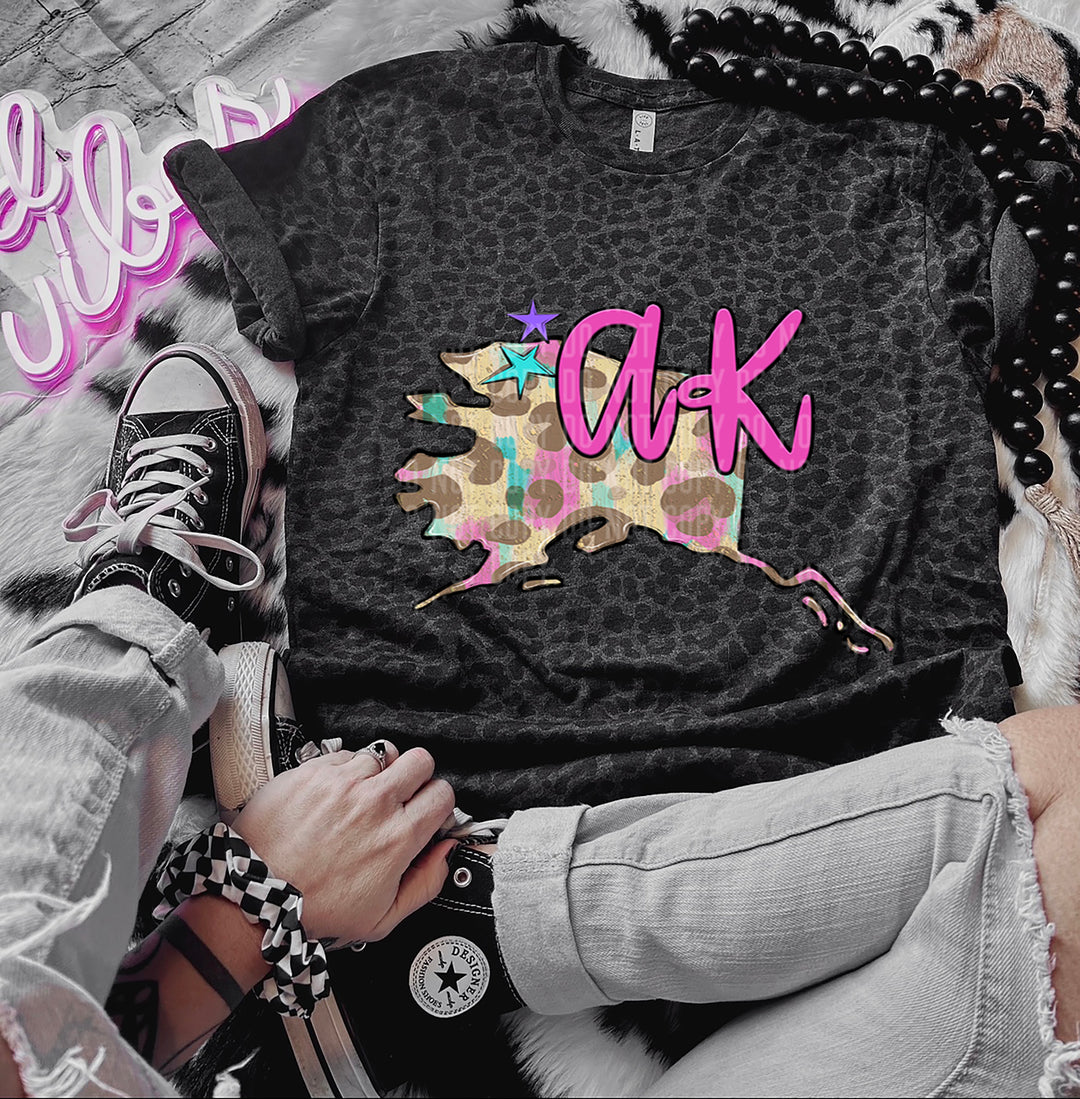 Preppy Bright States DTF Print