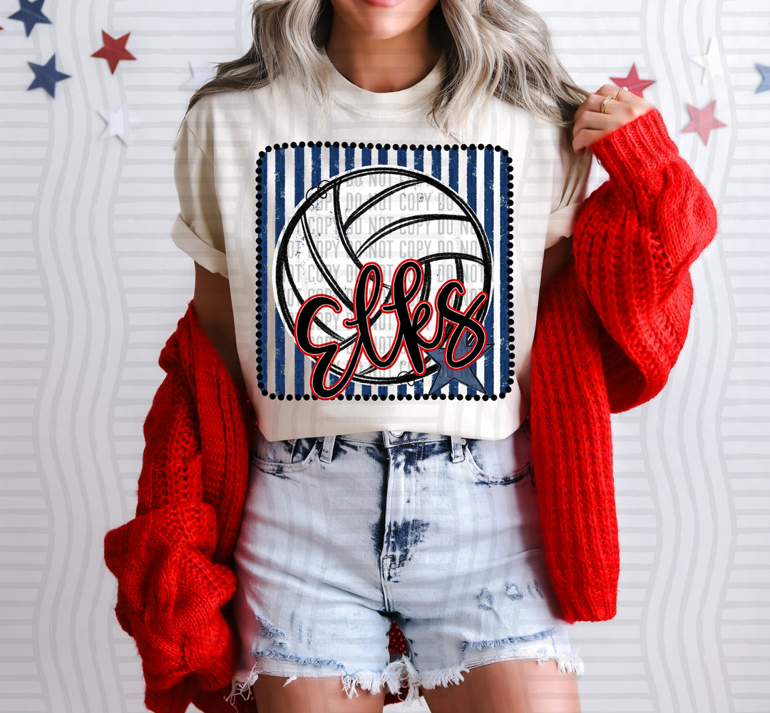 Volleyball RWB Framed DTF Print