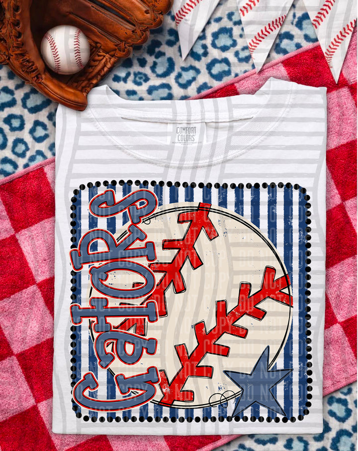Baseball RWB Framed DTF Print