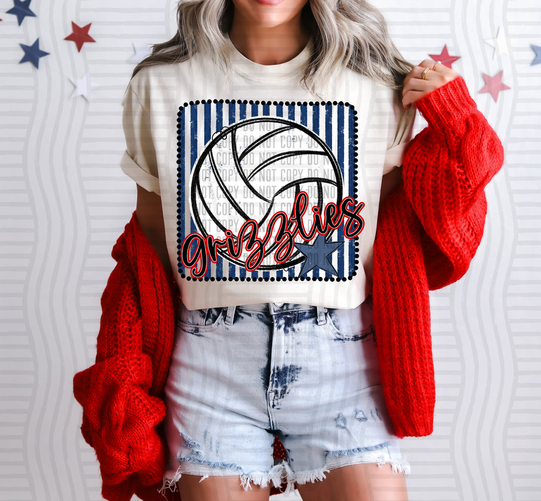 Volleyball RWB Framed DTF Print