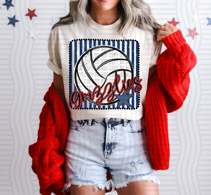 Volleyball RWB Framed DTF Print