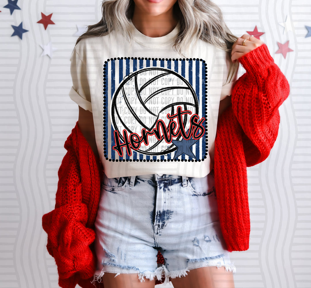 Volleyball RWB Framed DTF Print