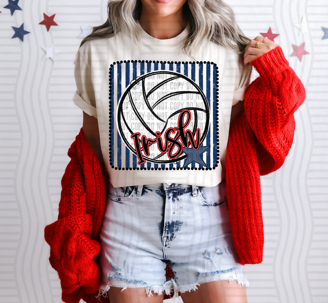 Volleyball RWB Framed DTF Print