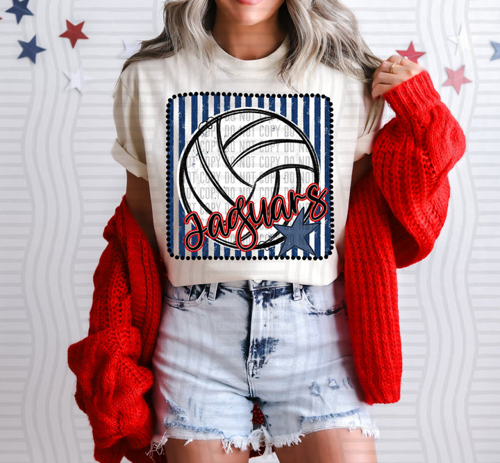 Volleyball RWB Framed DTF Print