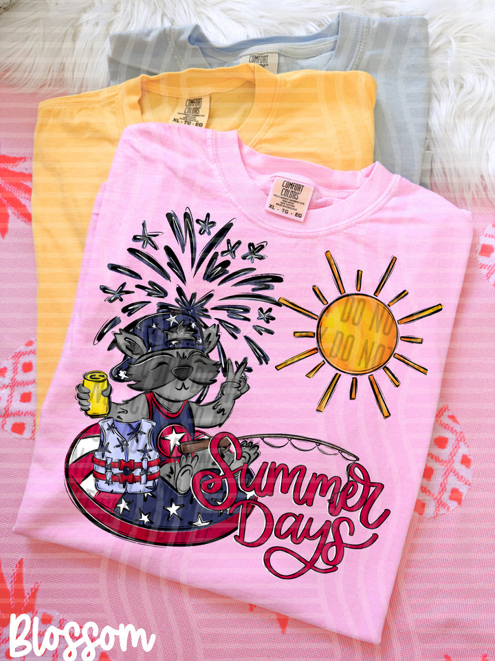 Summer Days 4th DTF Print