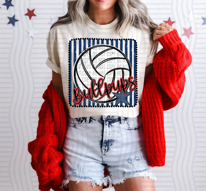 Volleyball RWB Framed DTF Print