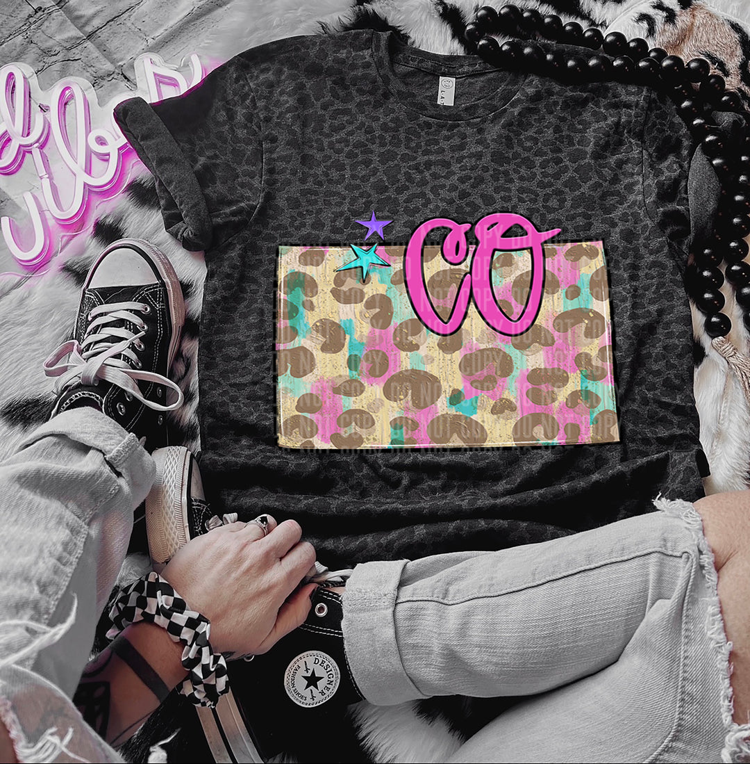 Preppy Bright States DTF Print