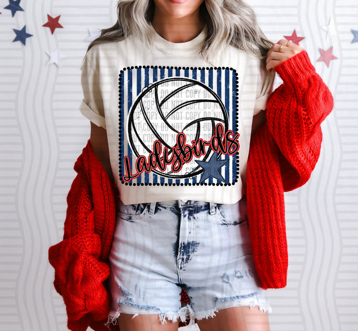 Volleyball RWB Framed DTF Print