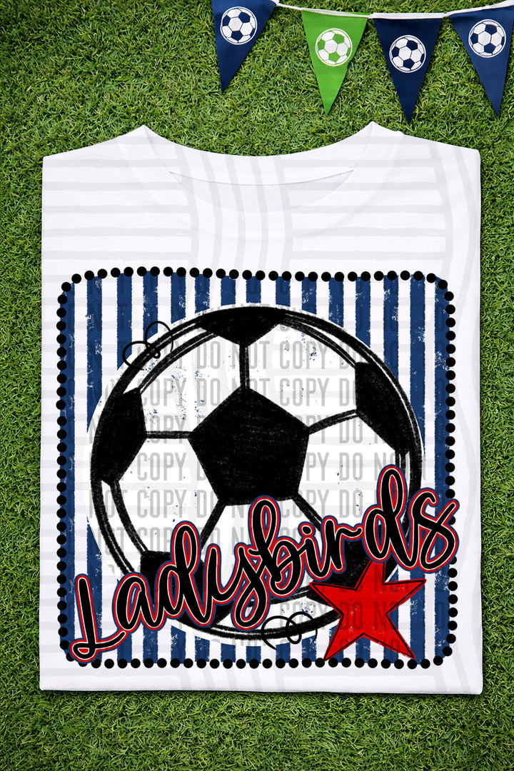 Soccer RWB Framed DTF Print