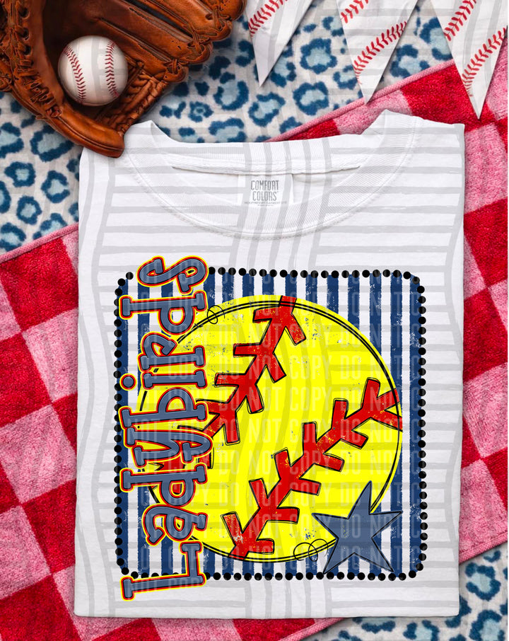 Softball RWB Framed DTF Print