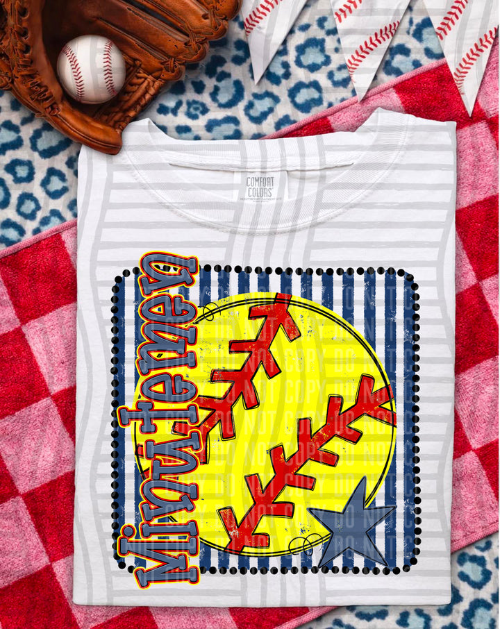 Softball RWB Framed DTF Print