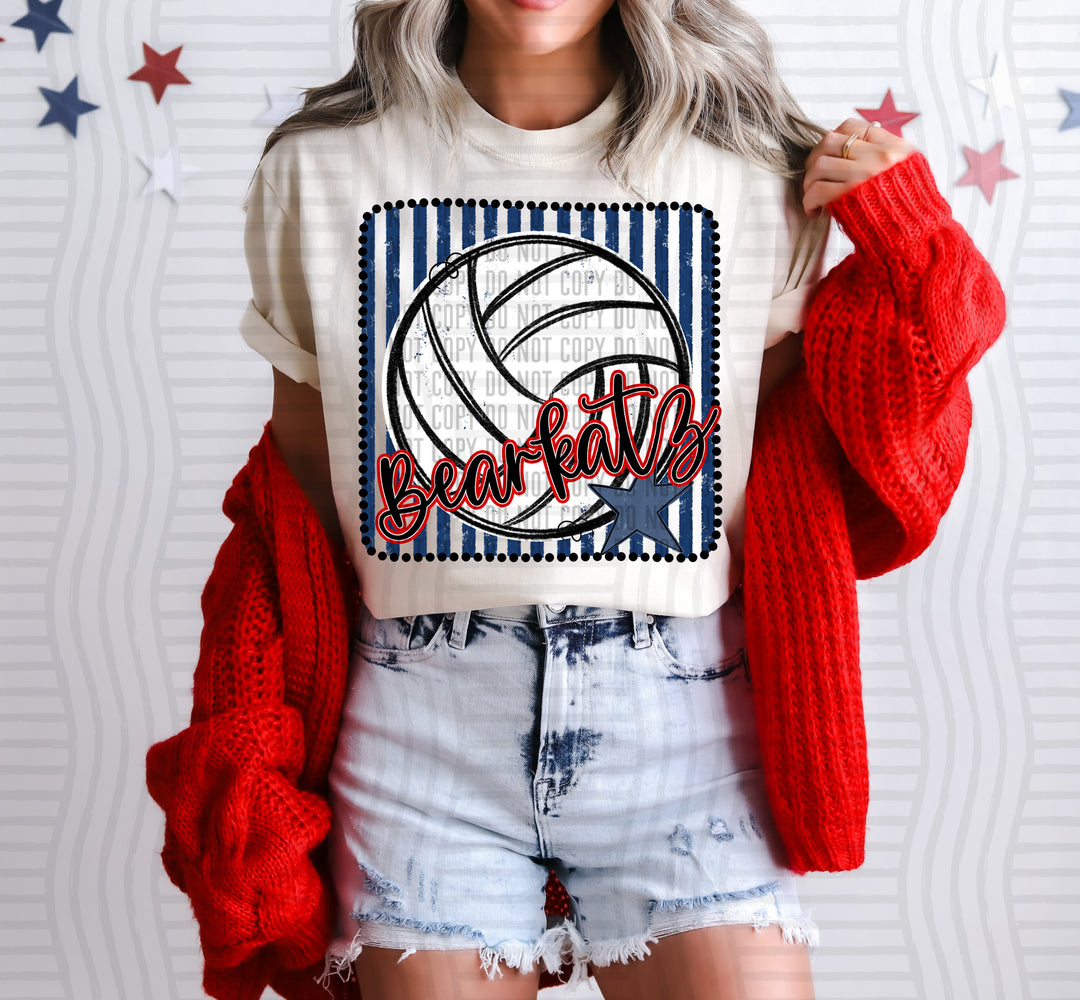 Volleyball RWB Framed DTF Print
