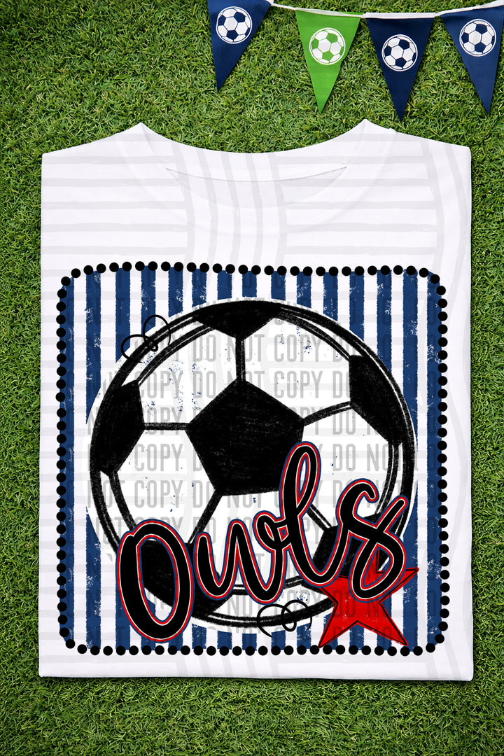 Soccer RWB Framed DTF Print