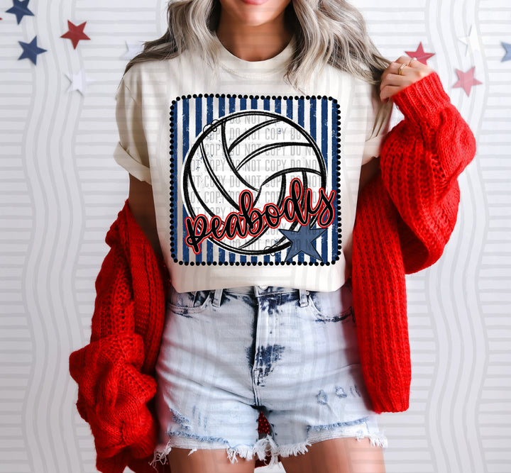 Volleyball RWB Framed DTF Print