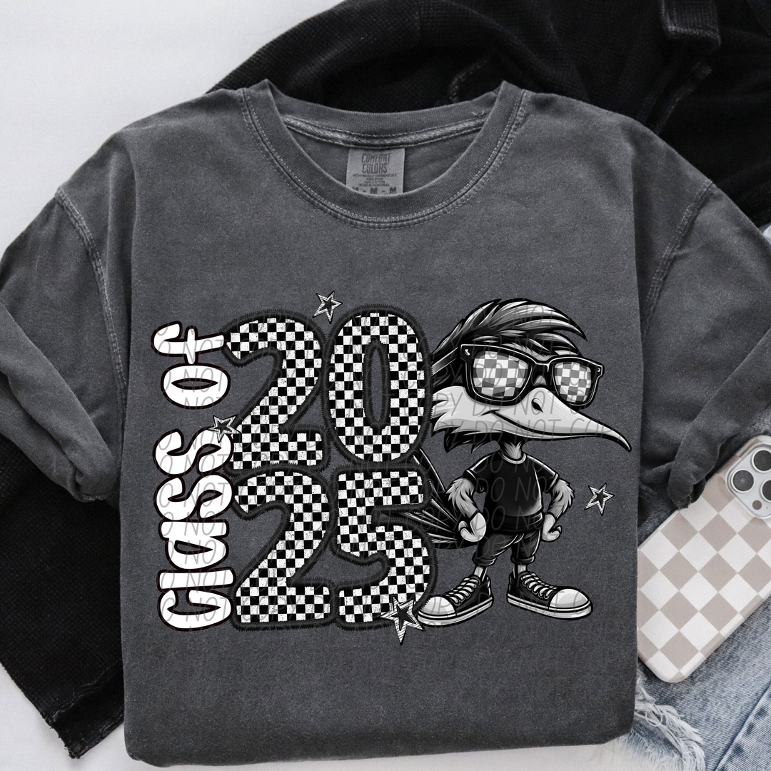 Class Of 2025 Mascots DTF Print