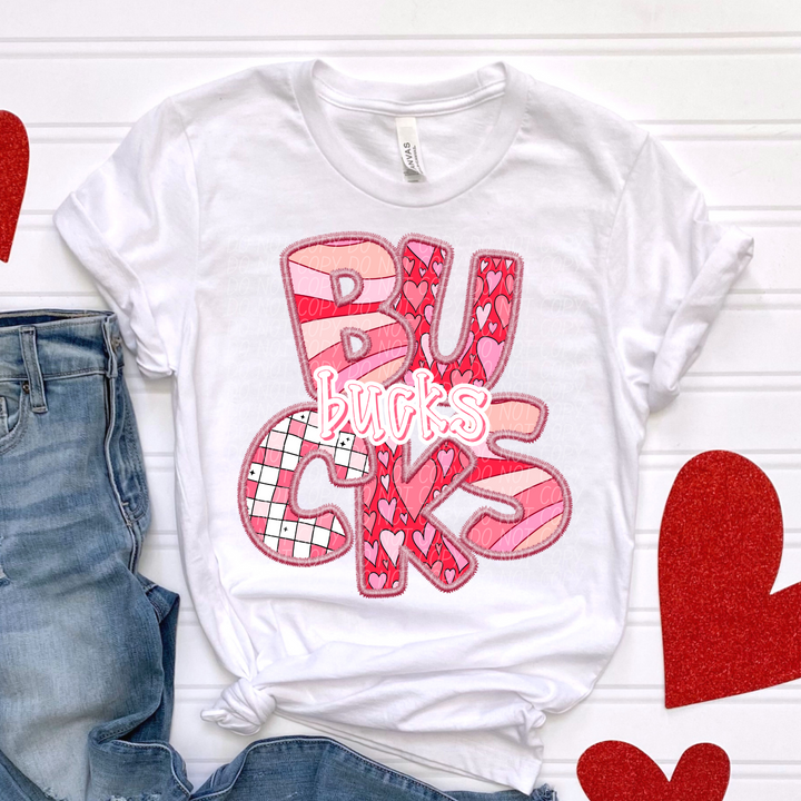 Valentines Day Faux Embroidered  YOUTH Mascots DTF Print