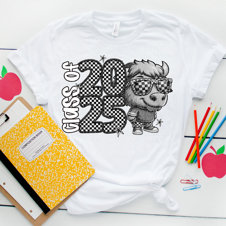 Class Of 2025 Mascots DTF Print