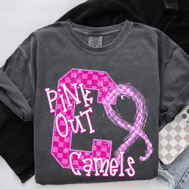 Pink Out Varsity DTF Print