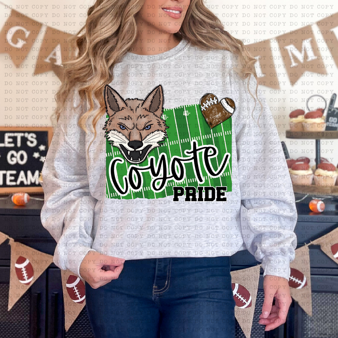 Football Pride DTF Print