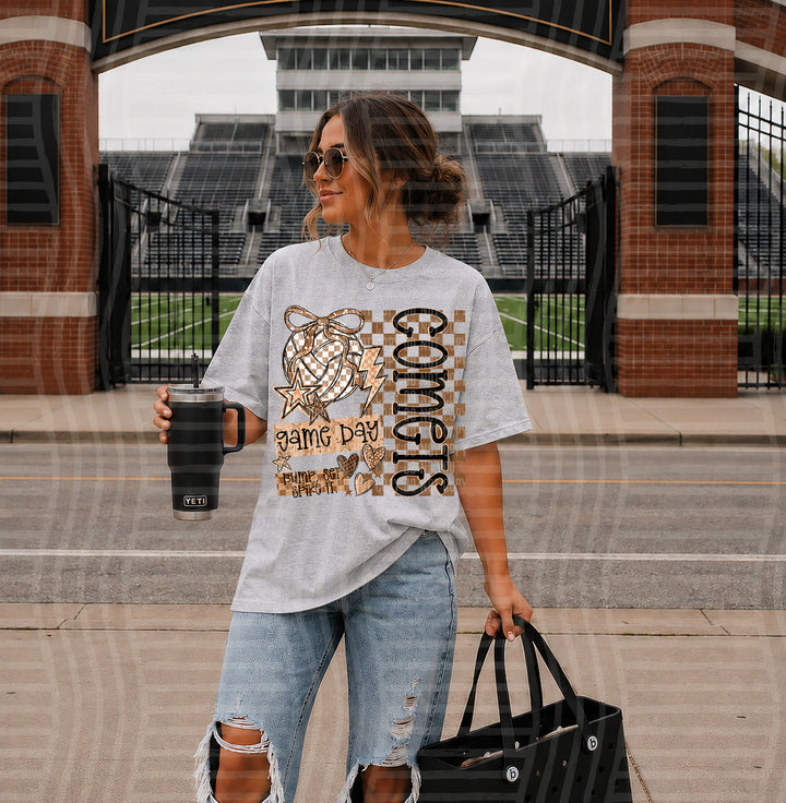 Glittery Game Day Checks Volleyball DTF Print
