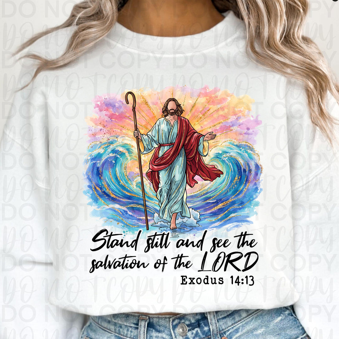 Exodus 4:13 DTF Print