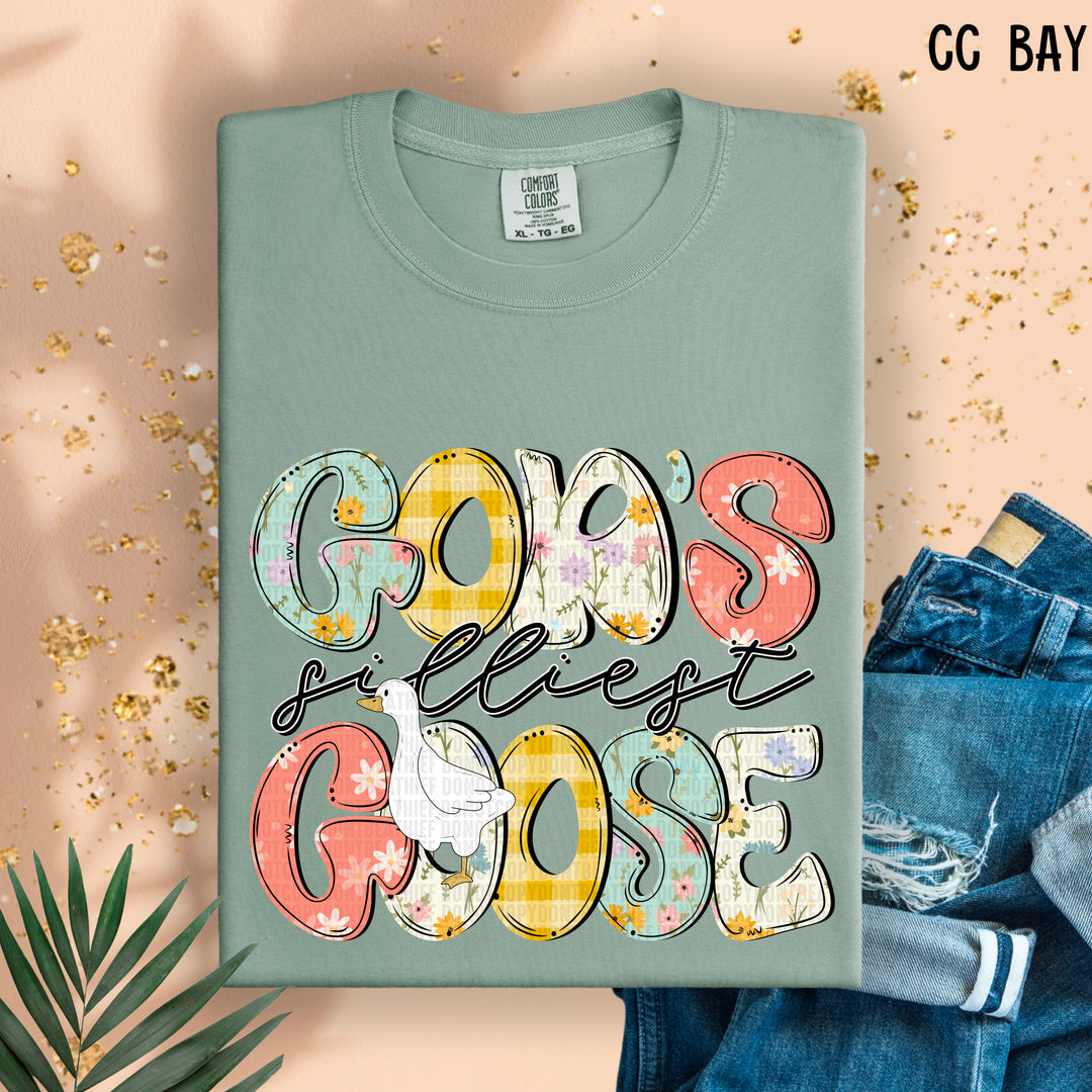 God’s Silliest Goose DTF Print