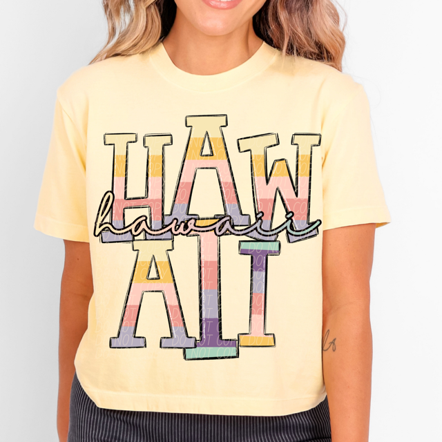 Pastel States DTF Print
