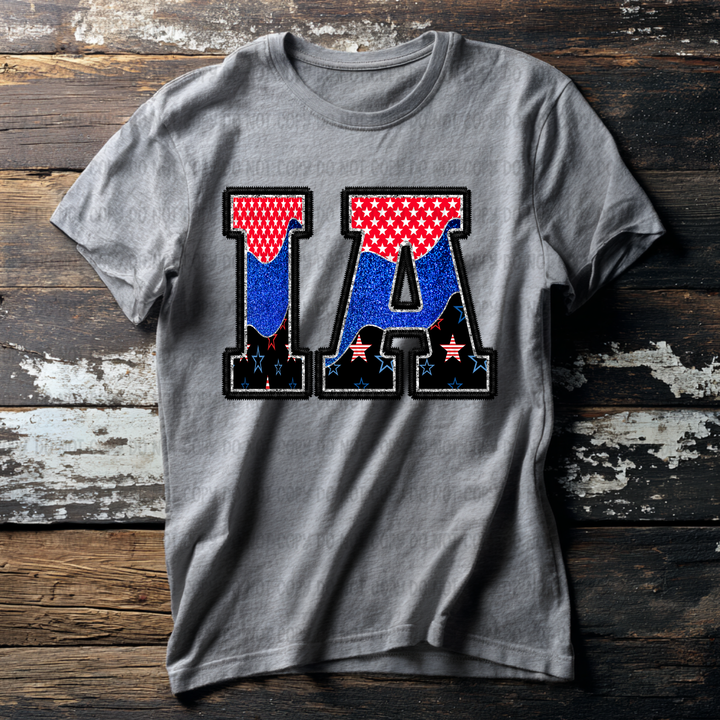 USA States DTF Print