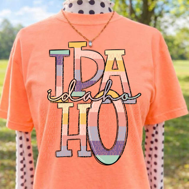 Pastel States DTF Print
