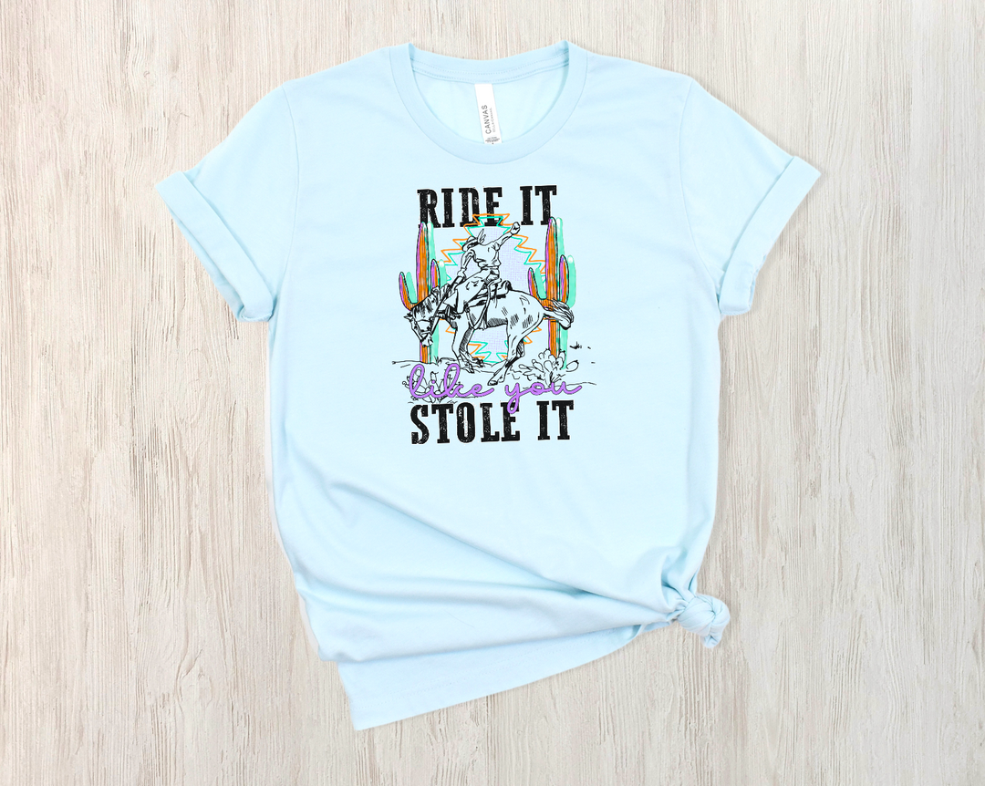 Ride It Like You Stole It DTF Print